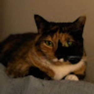 Meet your Posher, Dorothy